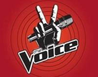 Jury The Voice of Poland w komplecie